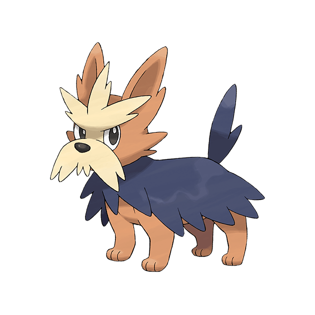 #0507 哈约克 - 一般属性宝可梦