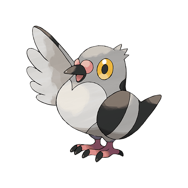 #0519 豆豆鸽 - 一般、飞行属性宝可梦