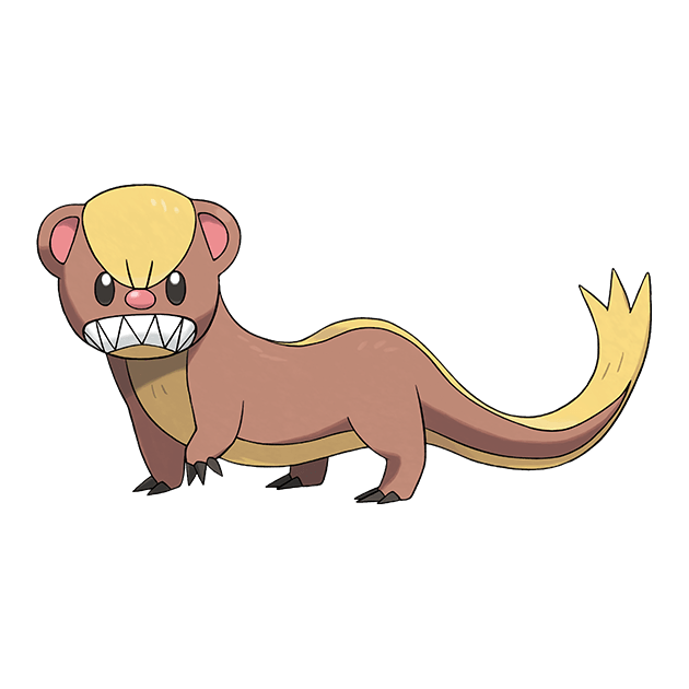 #0734 猫鼬少 - 一般属性宝可梦