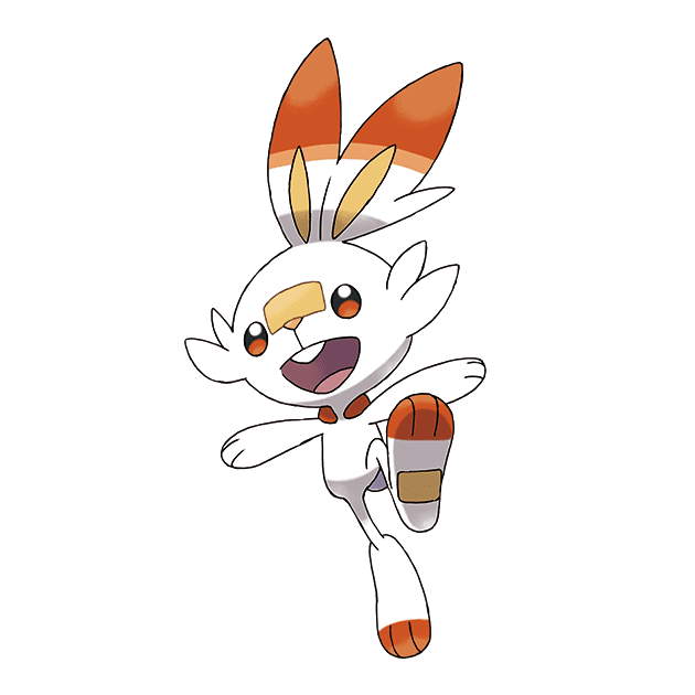 #0813 炎兔儿 - 火属性宝可梦