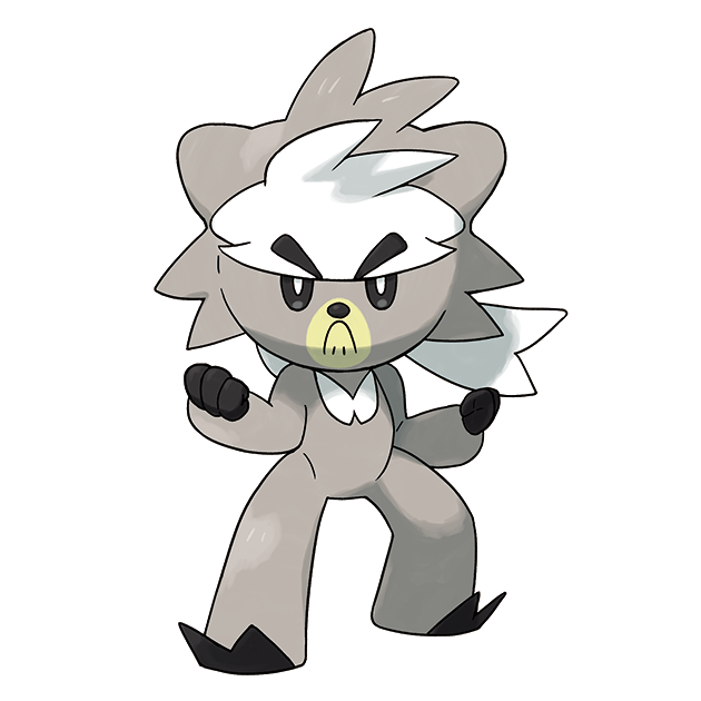 #0891 熊徒弟 - 格斗属性宝可梦