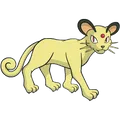 猫老大-阿罗拉的样子