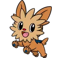 Lillipup
