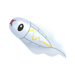 麻麻小鱼  官方立绘